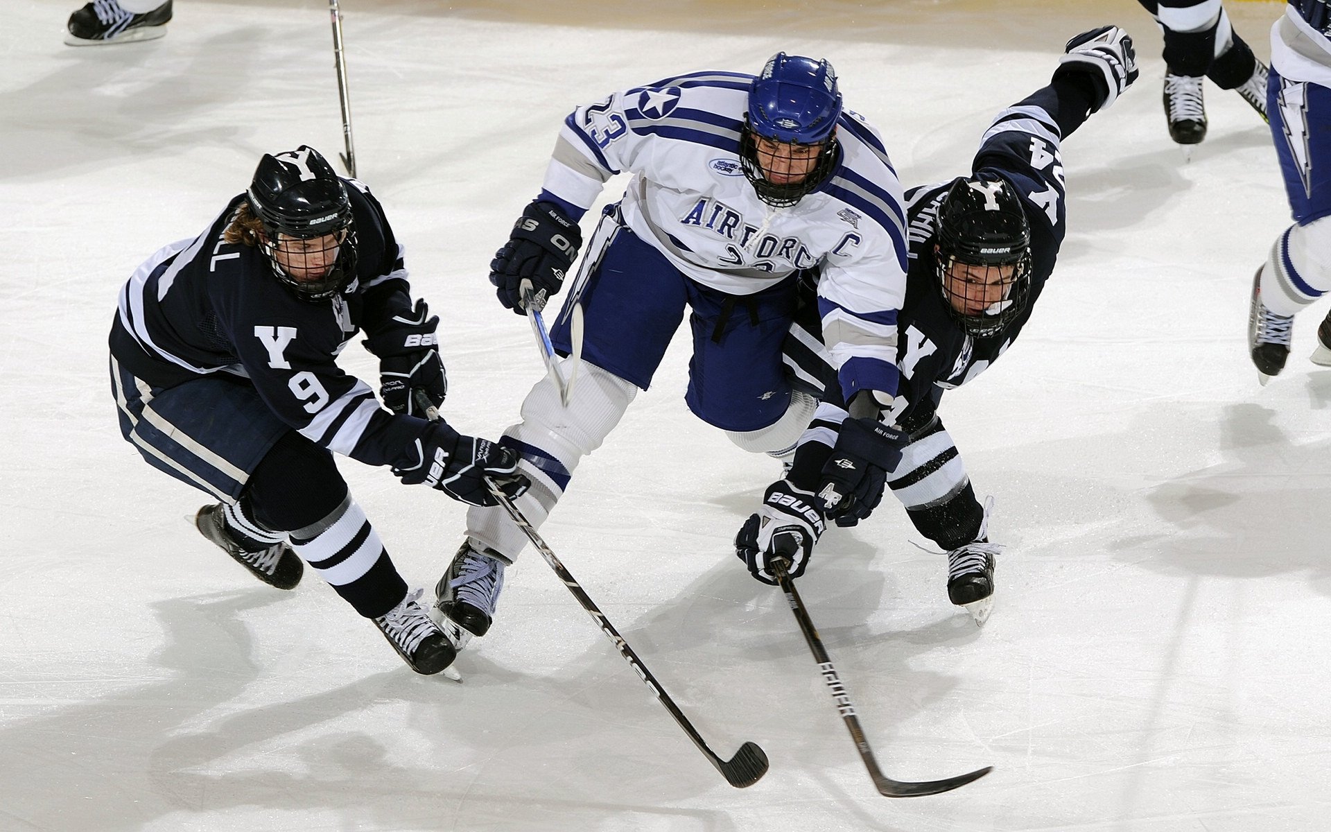 _走进井冈山：传统体育与革命文化融合_，井冈山革命传统教育